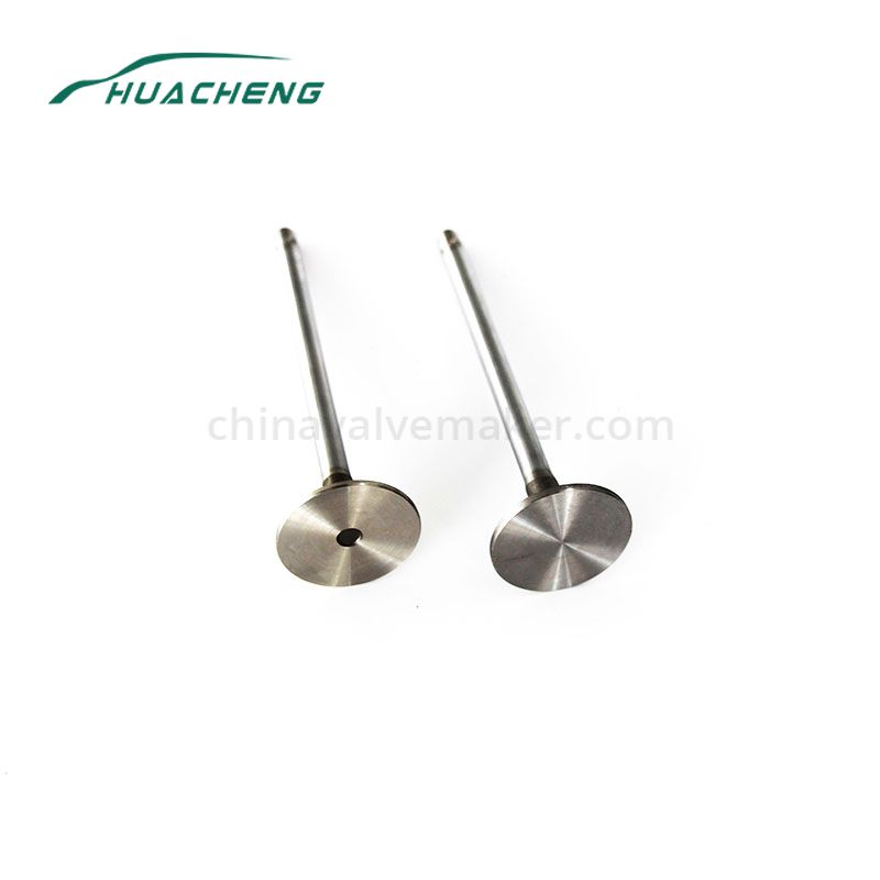 High Quality Engine Valve