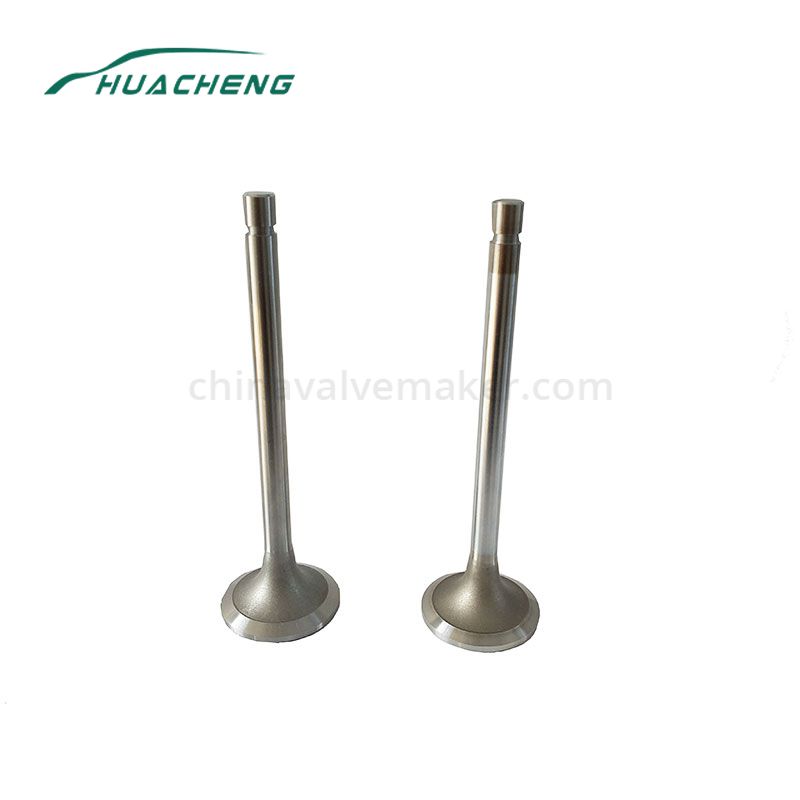 Agricultural Machinery Engine Valve