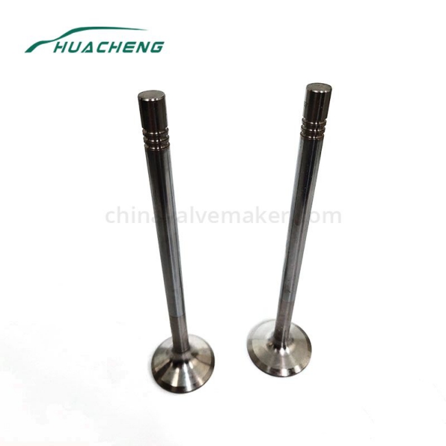 Diesel Engine Valve