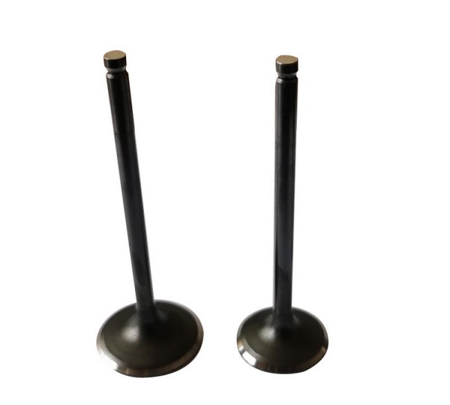 Engine Intake Exhaust Valve