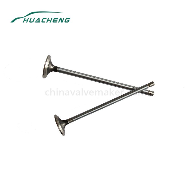 https://www.chinavalvemaker.com/caterpillar/excavator-parts-engine-valve-for-caterpillar-c7.html