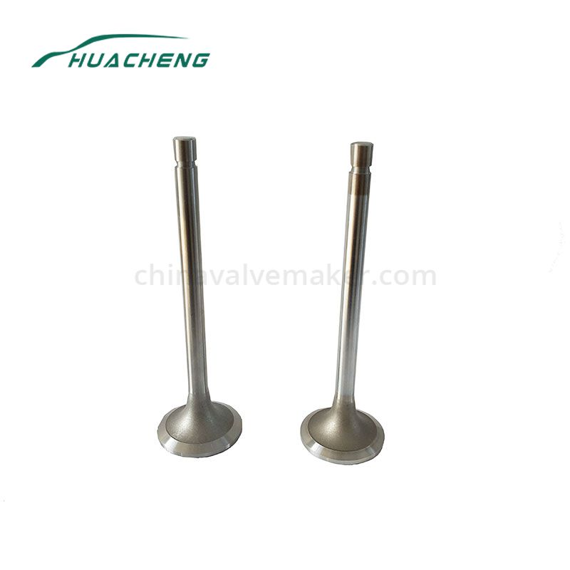 https://www.chinavalvemaker.com/cummins/marine-power-parts-engine-valve-for-cummins-k19.html