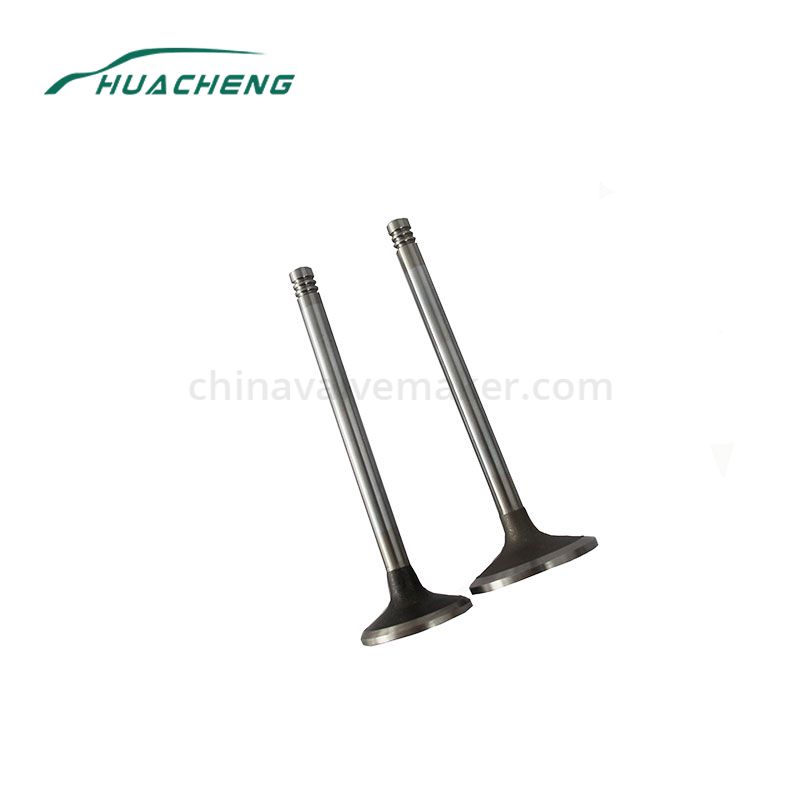 https://www.chinavalvemaker.com/deutz/commercial-vehicle-parts-engine-valve-for-eutz-1013.html