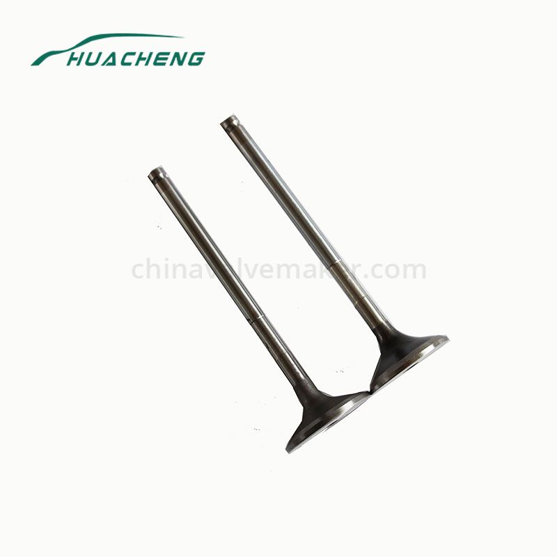 https://www.chinavalvemaker.com/doosan/excavator-part-engine-valve-for-doosan-d1146.html
