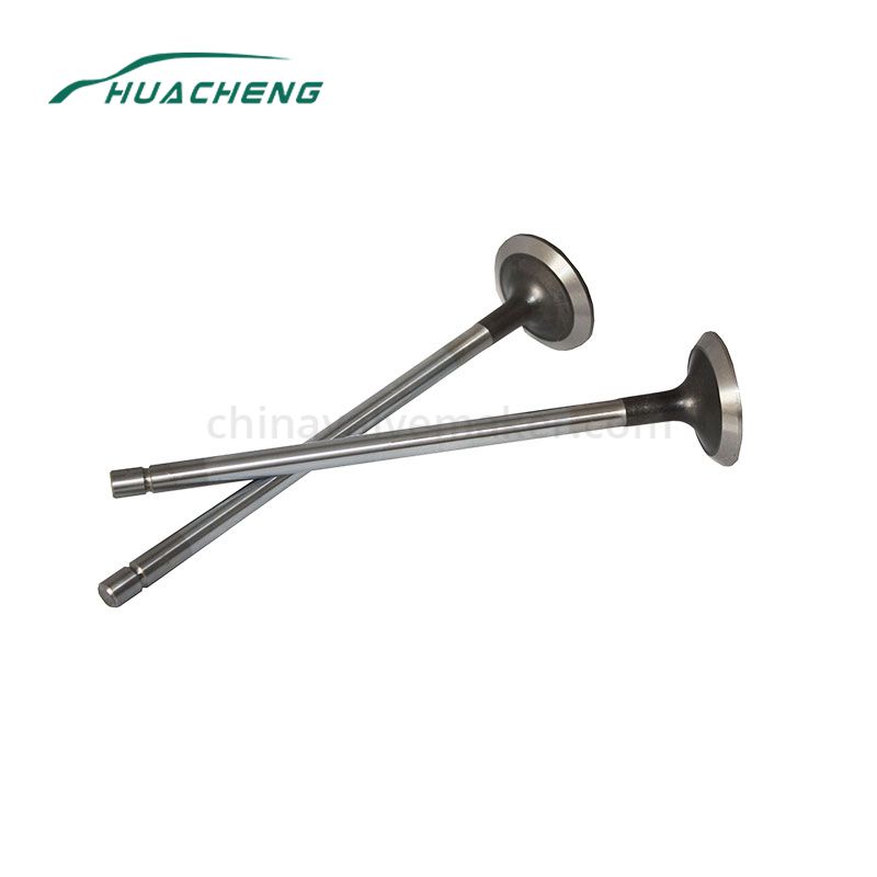 Truck parts intake & exhaust valve for Fiat C-9