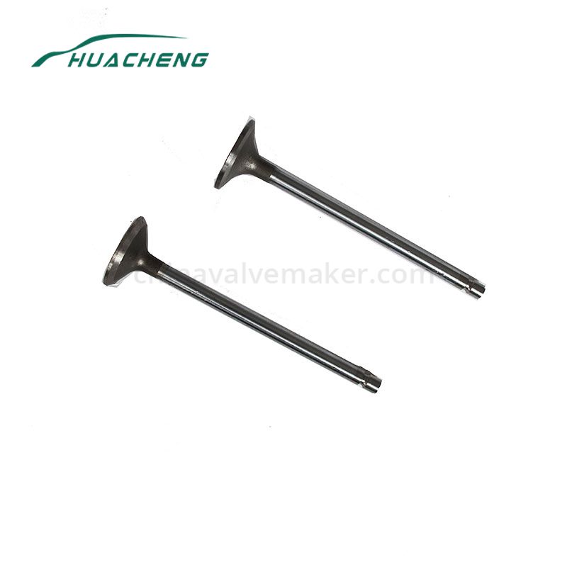 https://www.chinavalvemaker.com/isuzu/truck-parts-engine-valve-for-isuzu-493q.html