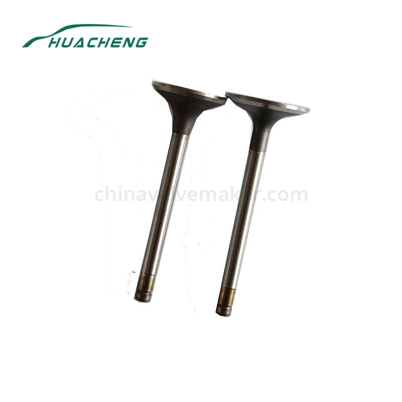 https://www.chinavalvemaker.com/isuzu/generator-part-engine-valve-for-isuzu-6sd1.html