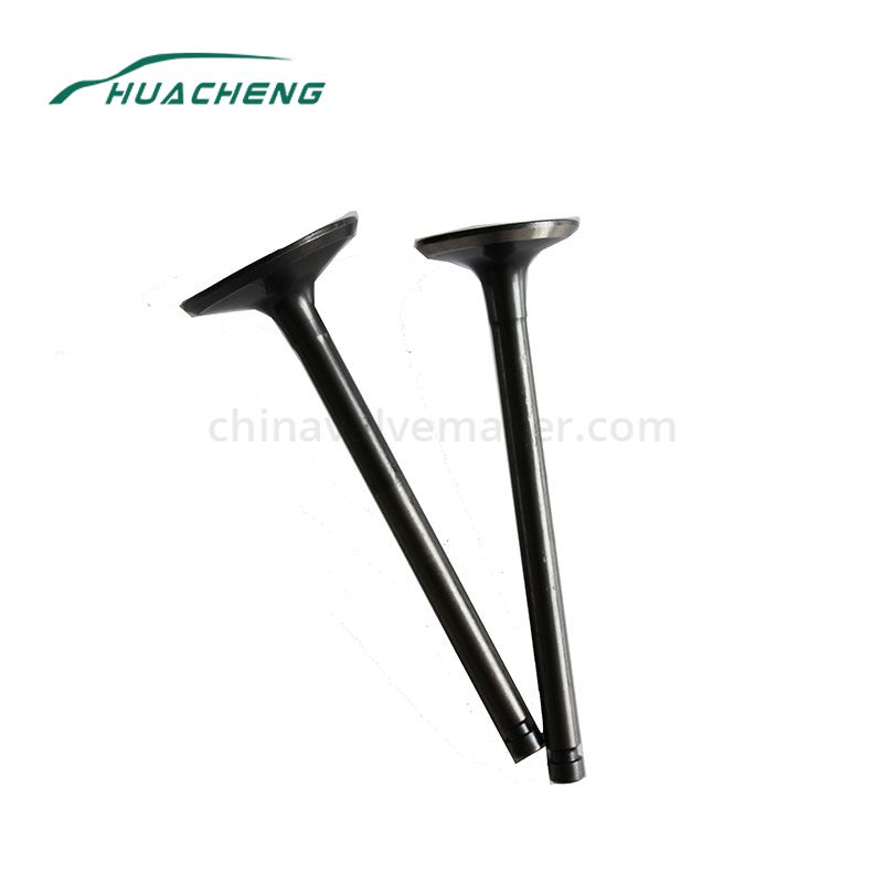 https://www.chinavalvemaker.com/mitsubishi/high-quality-auto-parts-engine-valve-for-mitsubishi-6d14.html