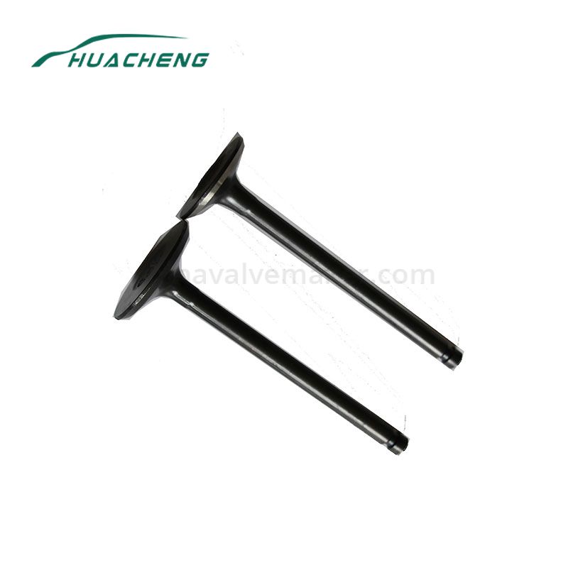 https://www.chinavalvemaker.com/mitsubishi/truck-parts-engine-valve-for-mitsubishi-6d15.html