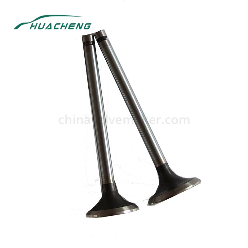 https://www.chinavalvemaker.com/mitsubishi/automobile-part-engine-valve-for-mitsubishi-6d22.html