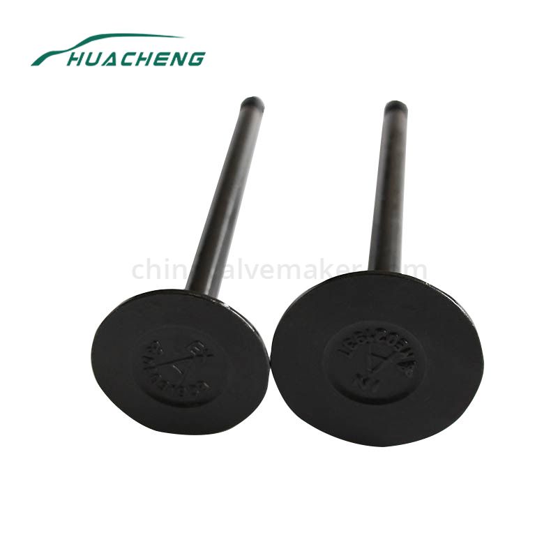 https://www.chinavalvemaker.com/mitsubishi/diesel-parts-engine-valve-for-mitsubishi-6d16.html