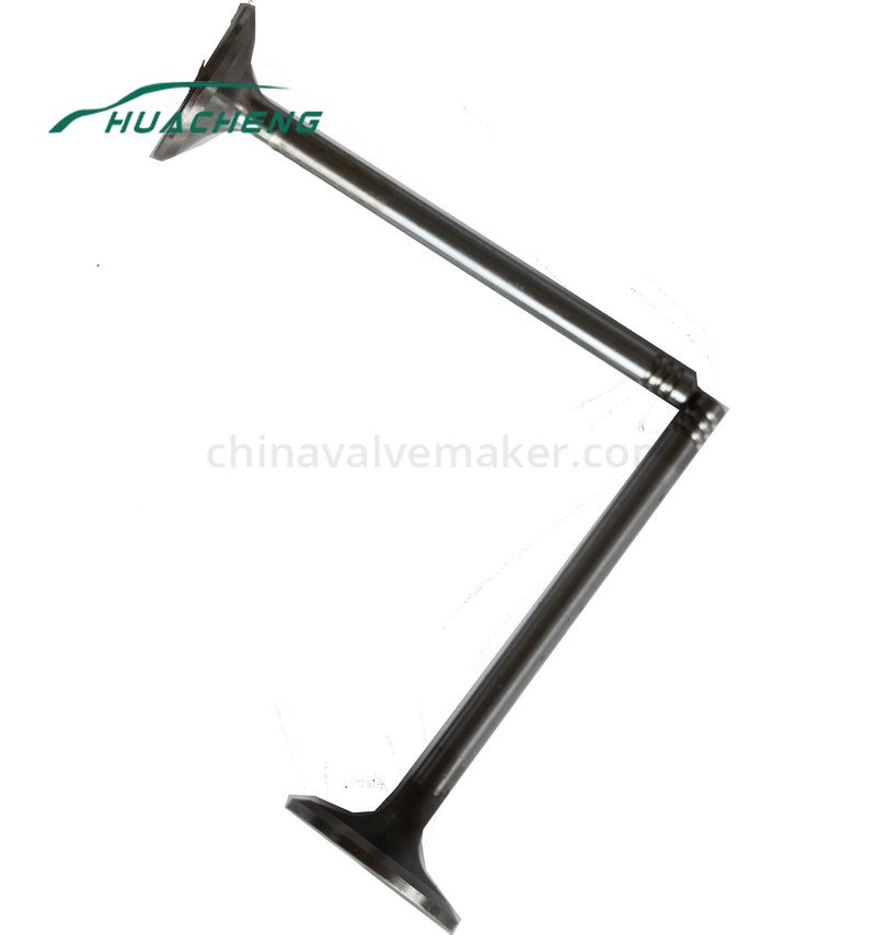 https://www.chinavalvemaker.com/volvo/vehicle-parts-engine-valve-for-volvo-d6d.html