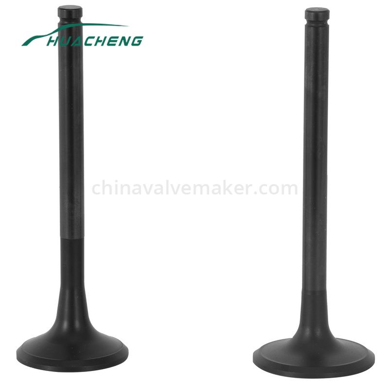 https://www.chinavalvemaker.com/steyr/truck-spare-parts-engine-valve-for-steyr-wd615-67.html