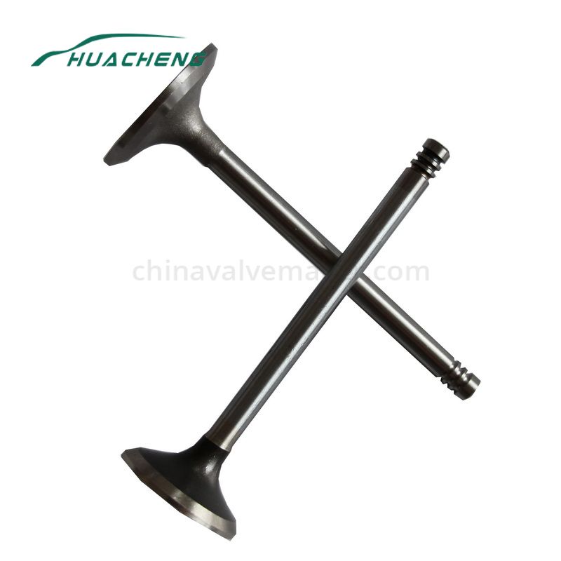 Machinery part engine valve for VOLVO D6E