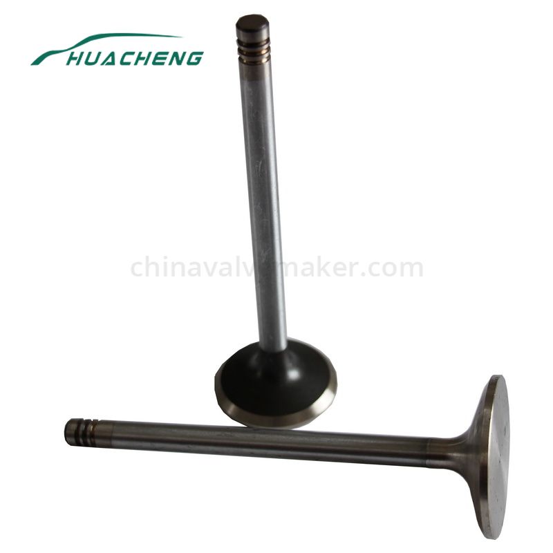 https://www.chinavalvemaker.com/volvo/generator-part-engine-valve-for-volvo-d7d.html