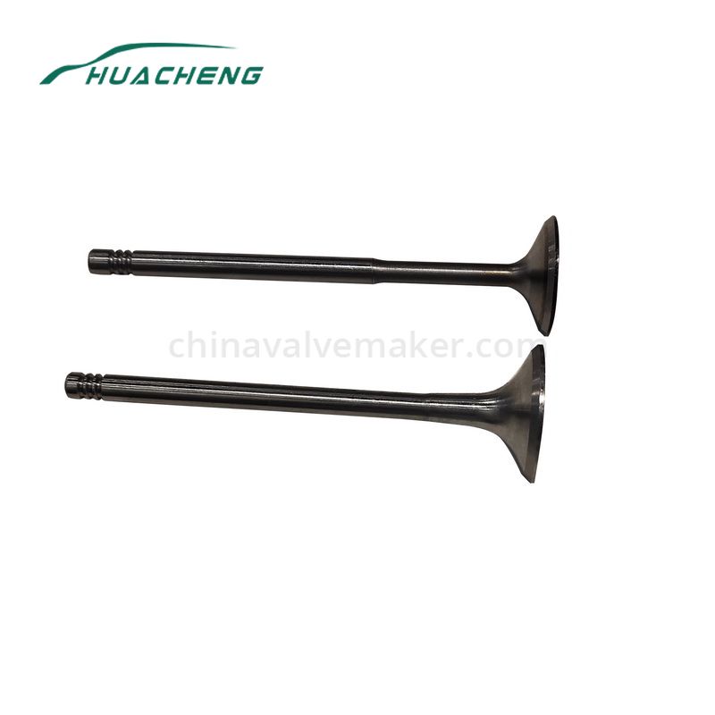 vehicle parts engine valve for Volksvagen 1.6L