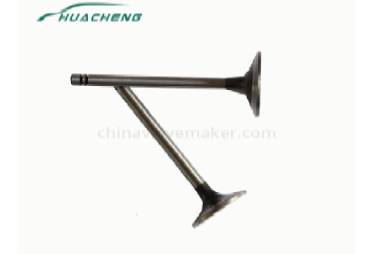 How to determine if the valve oil seal is leaking?