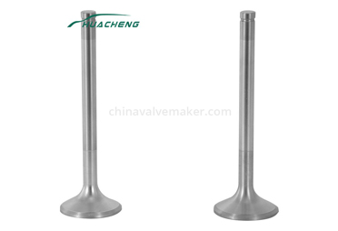 Structural Features Of Valve ComponentsⅠ