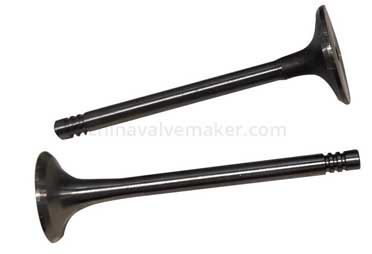 Structural Features Of Valve ComponentsⅡ