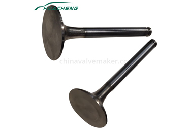 Valve Maintenance PrecautionsⅠ