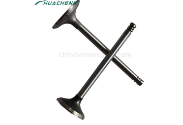 What Is An Intake and Exhaust Valve?