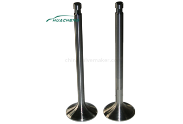 8 Reasons Why Cars Leak Oil