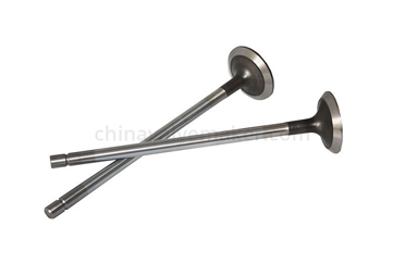 What Is the Function of Valves in An Engine?