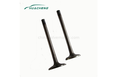 Understand the Overhead Valve Engine