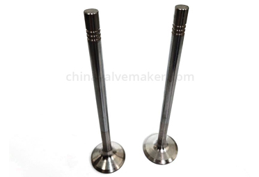 Differences, Advantages and Disadvantages of Diesel Engines and Gasoline Engines