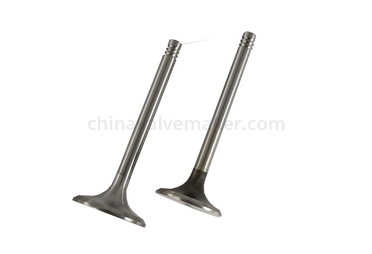 Common Sense of Autumn Car Maintenance(Part 1)