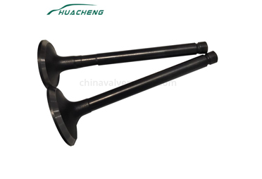 What is the Cause of Engine Valve Ringing?